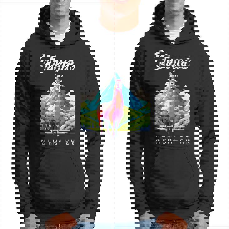 エクアドル コトパクシ国立公園 レトロ ラマ お土産 ハイキング パーカー