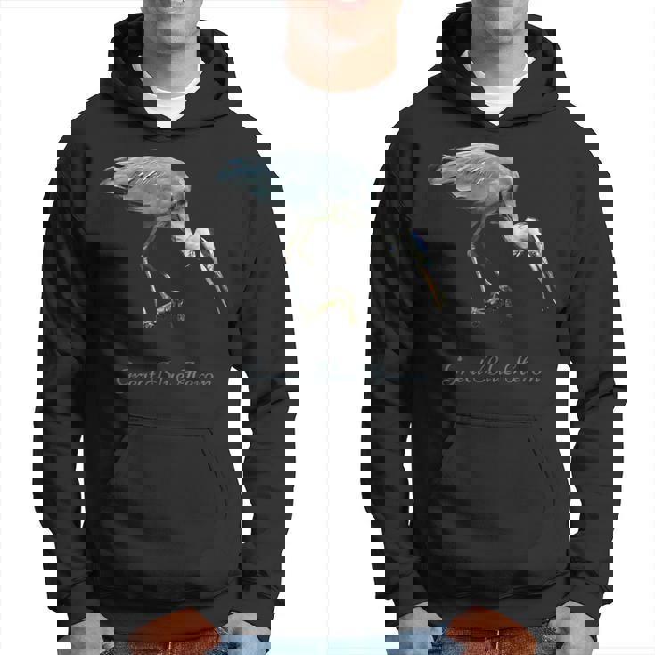 オオアオサギ 鳥類学 パーカー