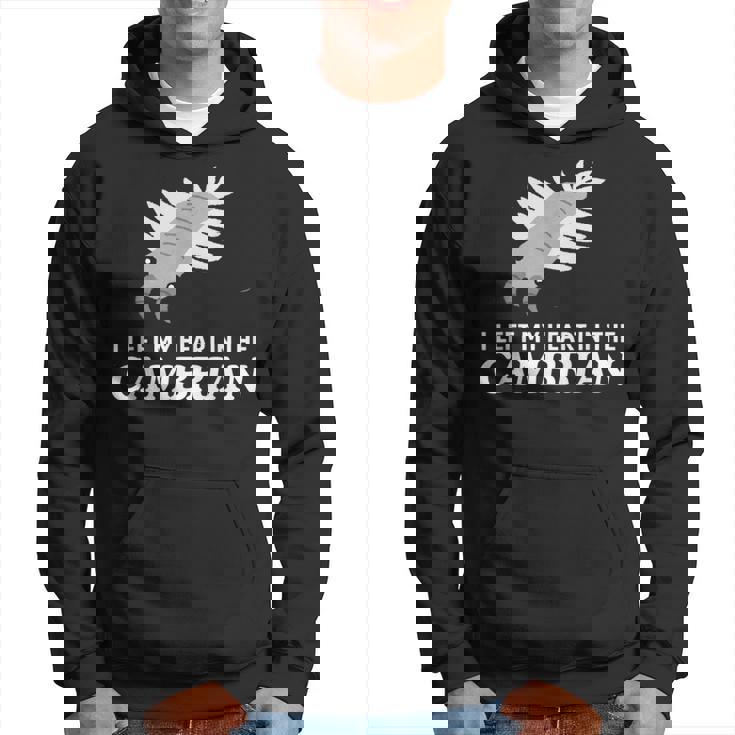 カンブリア紀の面白いアノマロカリス・パレオに心を残した パーカー