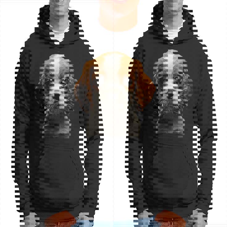 キャバリアキングチャールズスパニエル子犬 パーカー