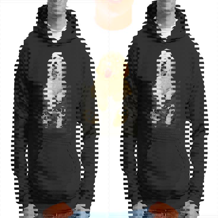 ゴールデンレトリバー ポケットに入った子犬 パーカー