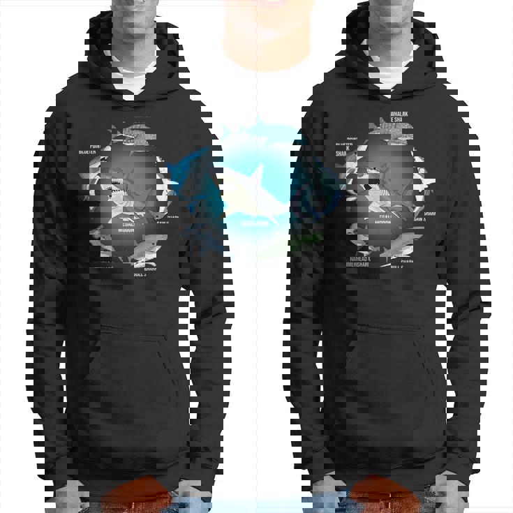 サメ6種 サメタイプ サメ 海の生き物 メガロドン サメ パーカー