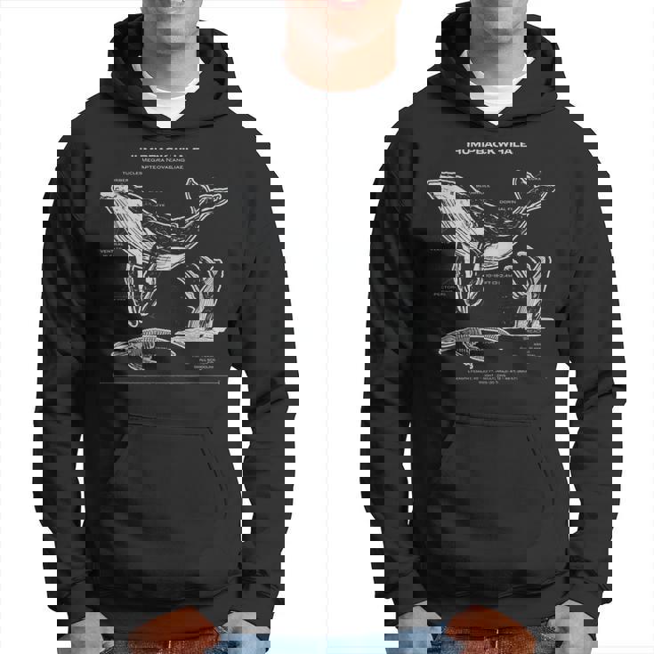 ザトウクジラの解剖学アパレルクジラ航海 パーカー