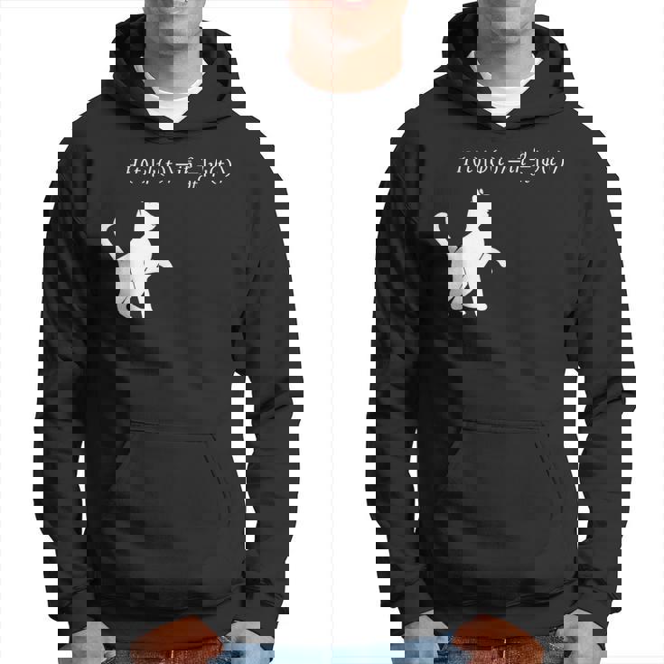 シュロディンガース 猫方程式物理学 オタク物理学 科学 パーカー