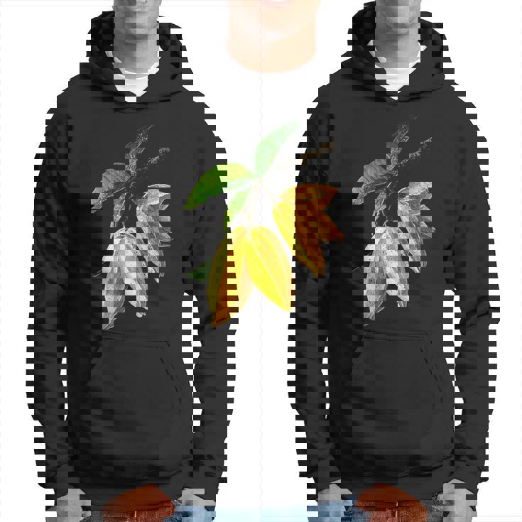 スターフルーツ フルーツ モチーフ イラスト スターフルーツ パーカー