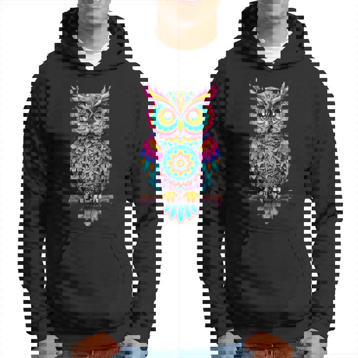 ストリートアートファンのためのストリートアートフクロウ、アーティストスプレー。 パーカー