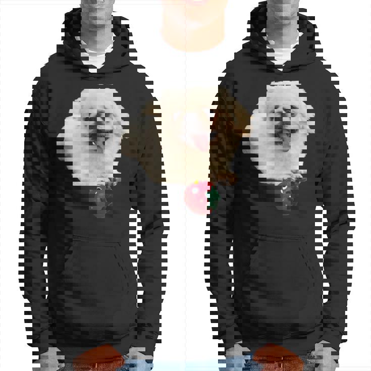 スマイル ペキニーズサニー パーカー