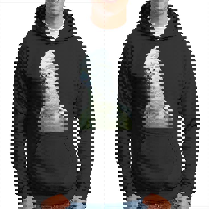 タイハクオウム 鳥 オウム パーカー