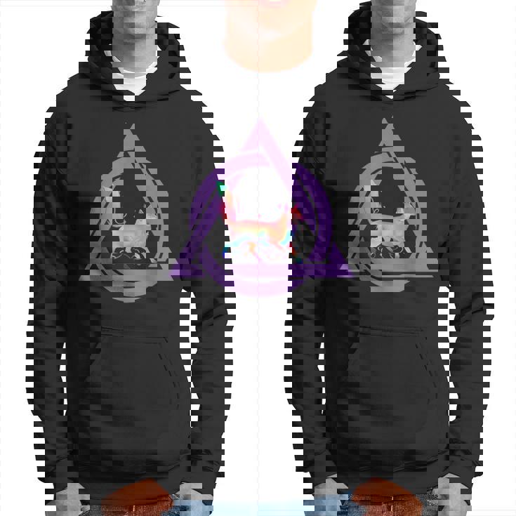 テリアン・ウェア・デルタフォックス パーカー