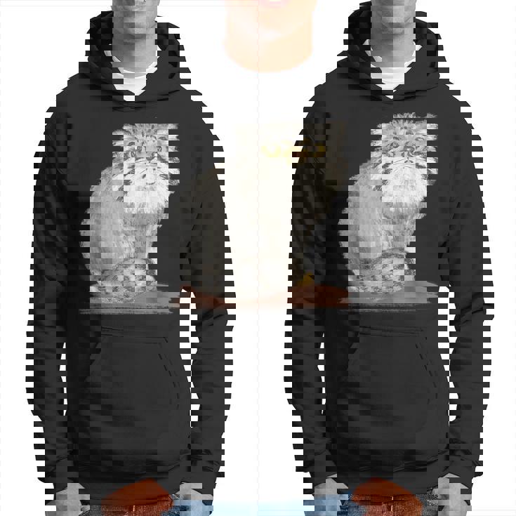 ネコ マヌルネコ 子猫 野生動物 パーカー