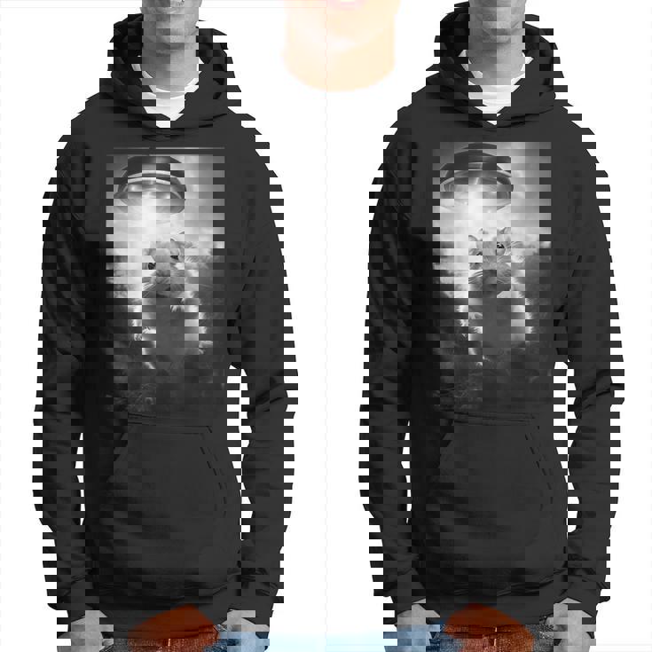 ハムスターを追うufo、クレイジーな動物、面白いハムスター パーカー