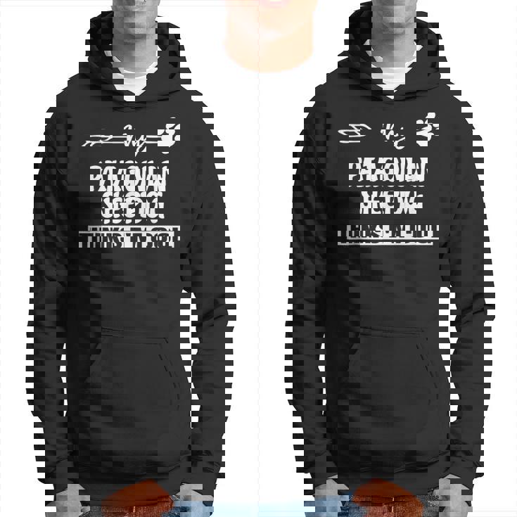 パタゴニア・シープドッグのオーナーズ パーカー