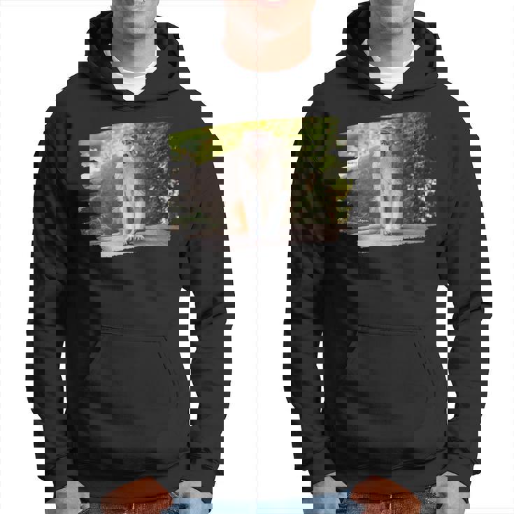 パタス・モンキー パーカー