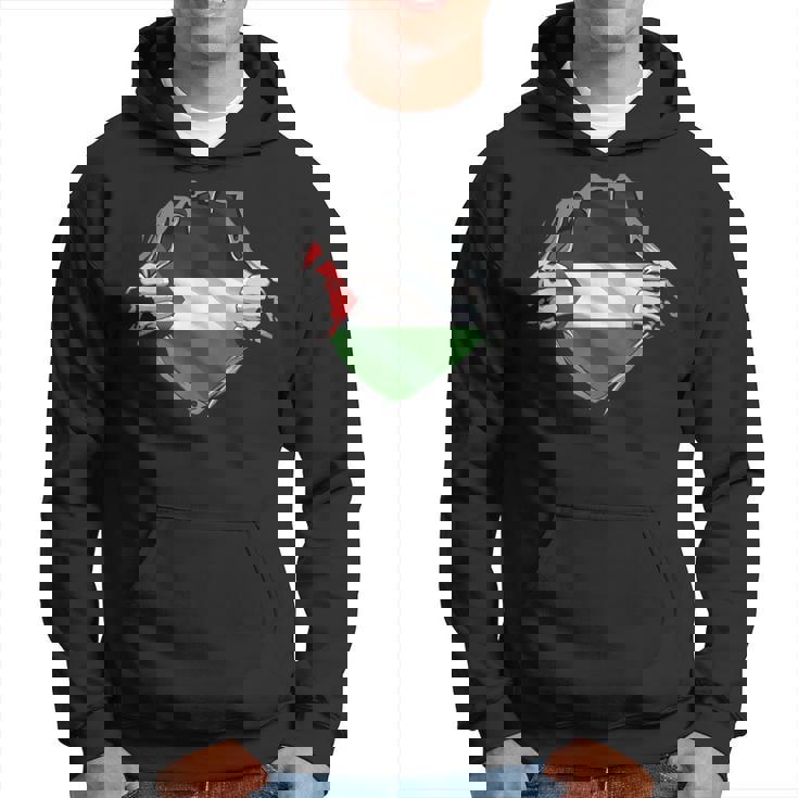 パレスチナシャツ パレスチナ国旗 アラビアのルーツ 遺産 Dna パーカー