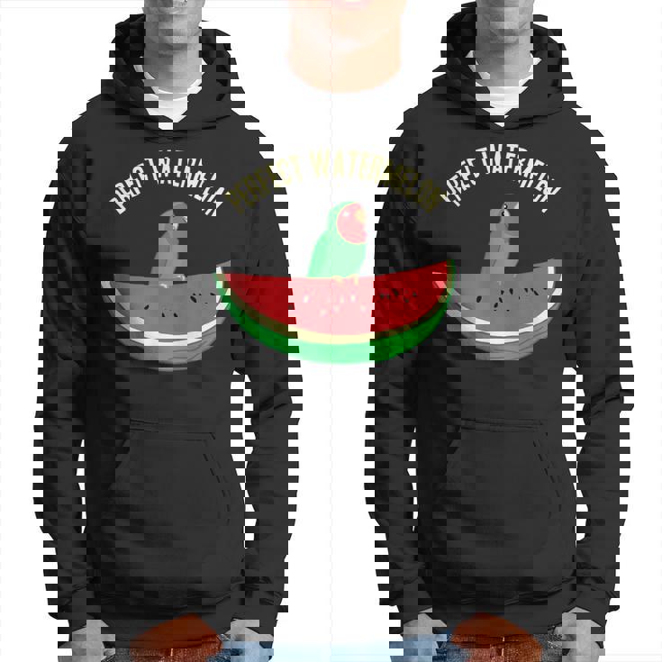 パーフェクトスイカラブバード、バーブミーム、グリーンオウムフルーツ パーカー