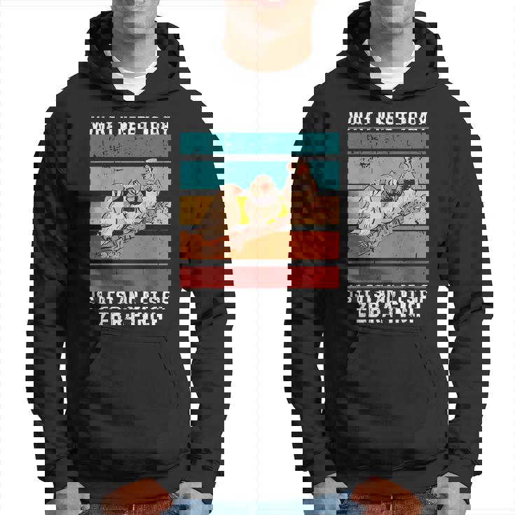 ビンテージ今日必要なのはキンカチョウがたくさん パーカー