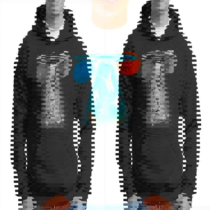 ファニースペースキャット Ufo 宇宙人 空飛ぶ猫 ギャラクシープラネット グラフィック パーカー