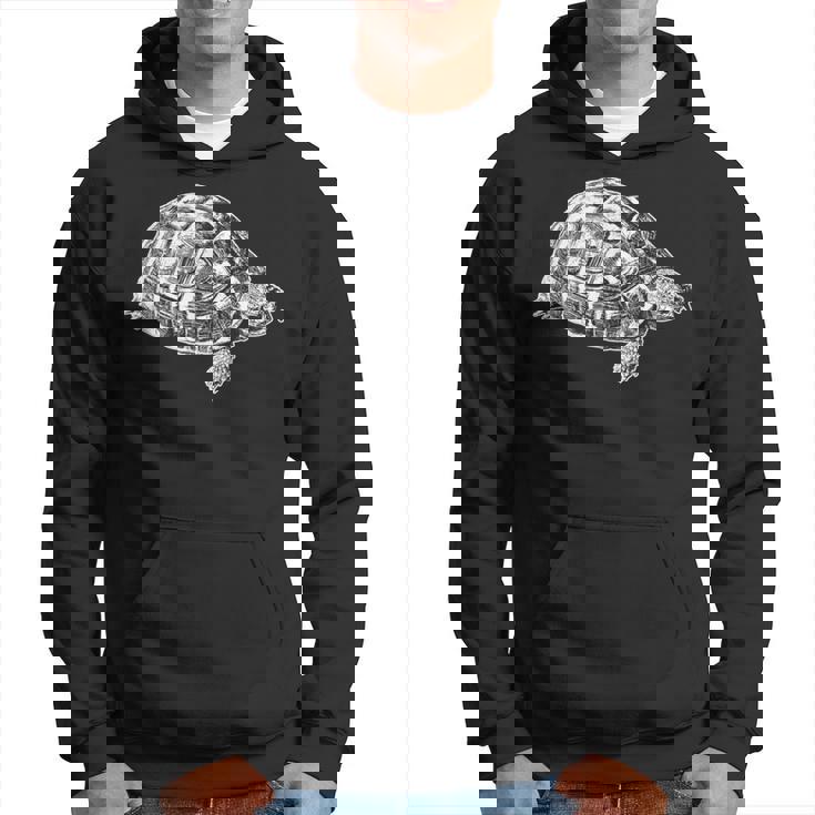 ヘルマンリクガメ パーカー