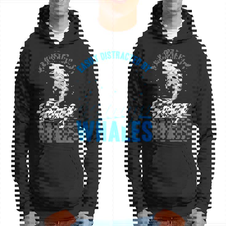 ベルーガクジラに簡単に気を取られる面白いシロイルカ動物。 パーカー