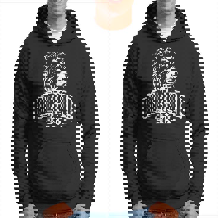 ボーダーコリーのお父さんとかわいい犬の頭を胸に パーカー