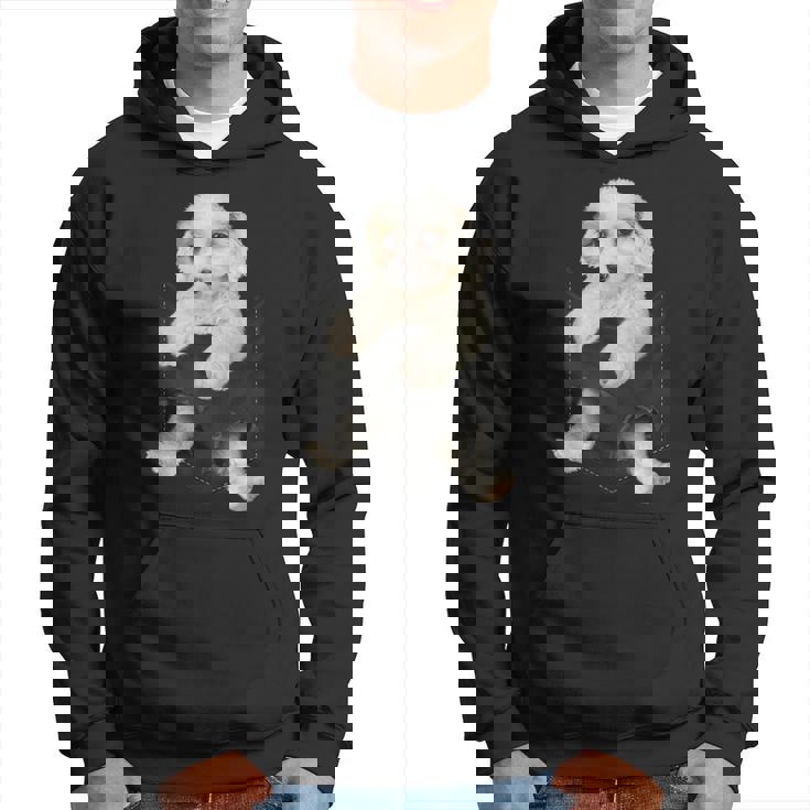 ポケットに入った面白いcavachon Dog Cavachon Dog好きのための パーカー