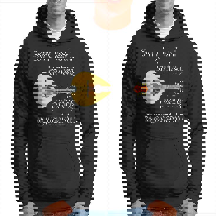 マンドリンピッキング ミュージシャン 音符 フォークミュージック パーカー