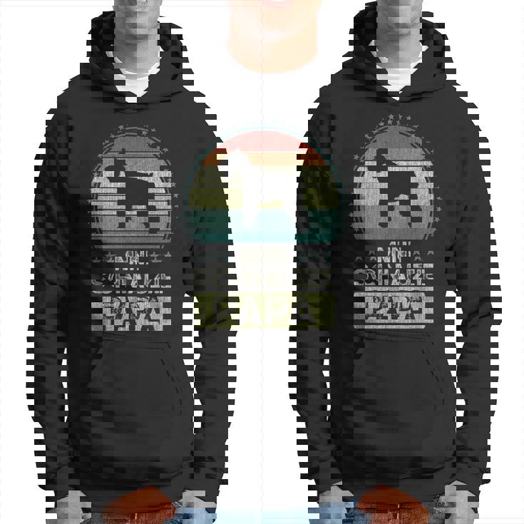 ミニチュア・シュナウザー、ミニチュア・シュナウジー・パパ パーカー