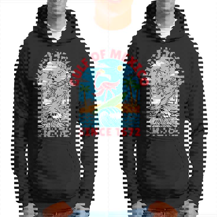 メキシコ湾 フラミンゴ メキシコ湾 1672年以来 パーカー