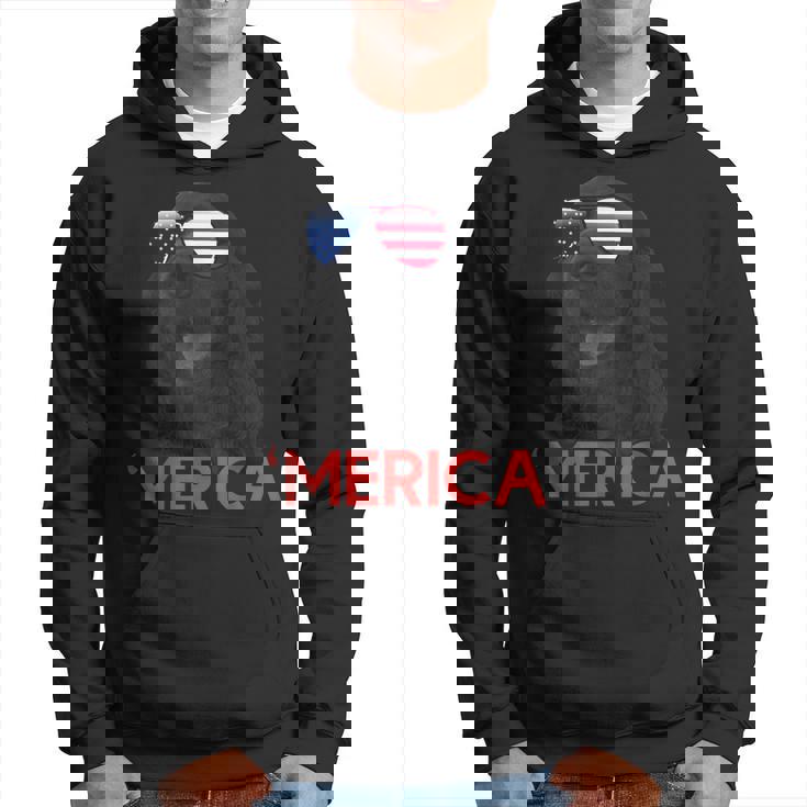 メリカ Englsh Cockerspaniel アメリカ国旗 7月4日 パーカー