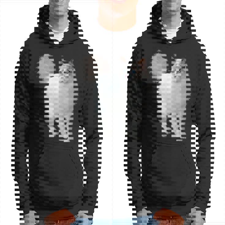 ラグドール 猫のポートレート ラグドール キャットヘッド ラグドール 猫の顔 パーカー