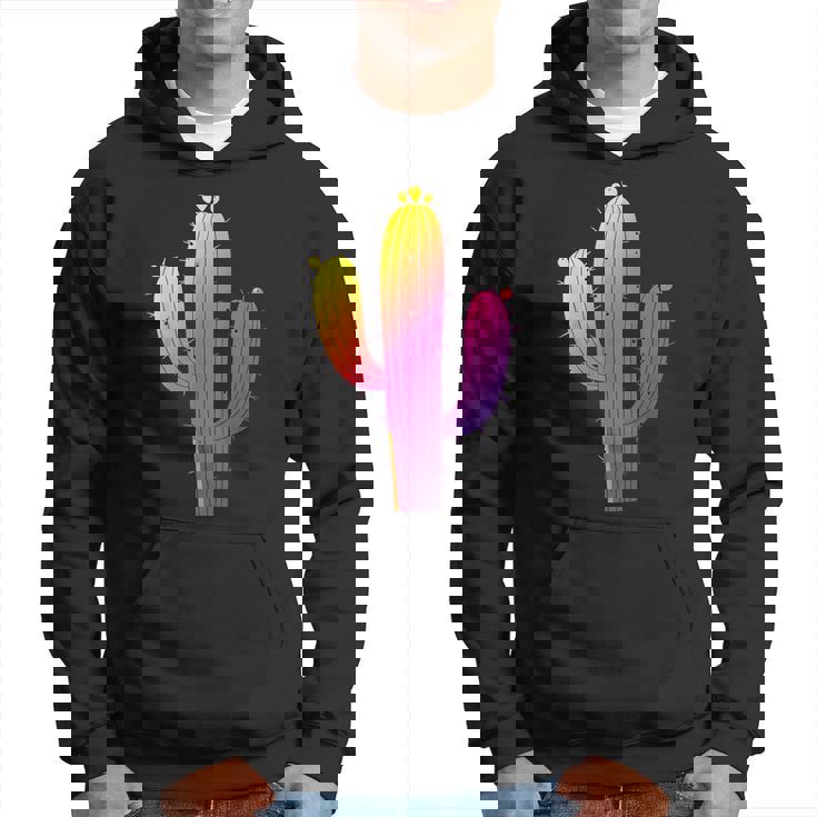 レインボーサボテン 砂漠の夕日と太陽の雰囲気 パーカー