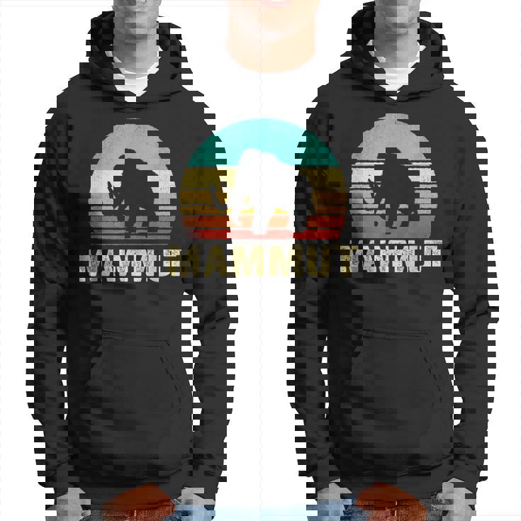 ヴィンテージ マムート サンセット レトロ パーカー