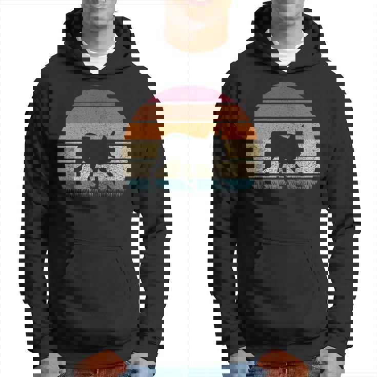 ヴィンテージ レトロ サンセット パタゴニア マーラ 恋人 アンティーク調 パーカー