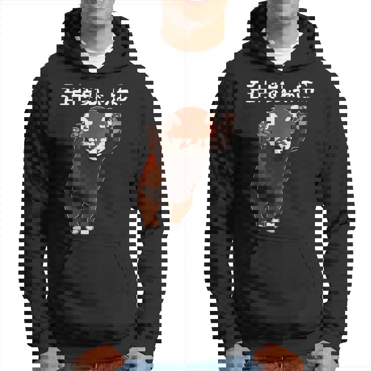 五十歩ひゃっほう レッサーパンダ ネタ ことわざ ことわざのもじり ジョーク ギャグ ダジャミ おもしろ メンズ 半袖 パーカー