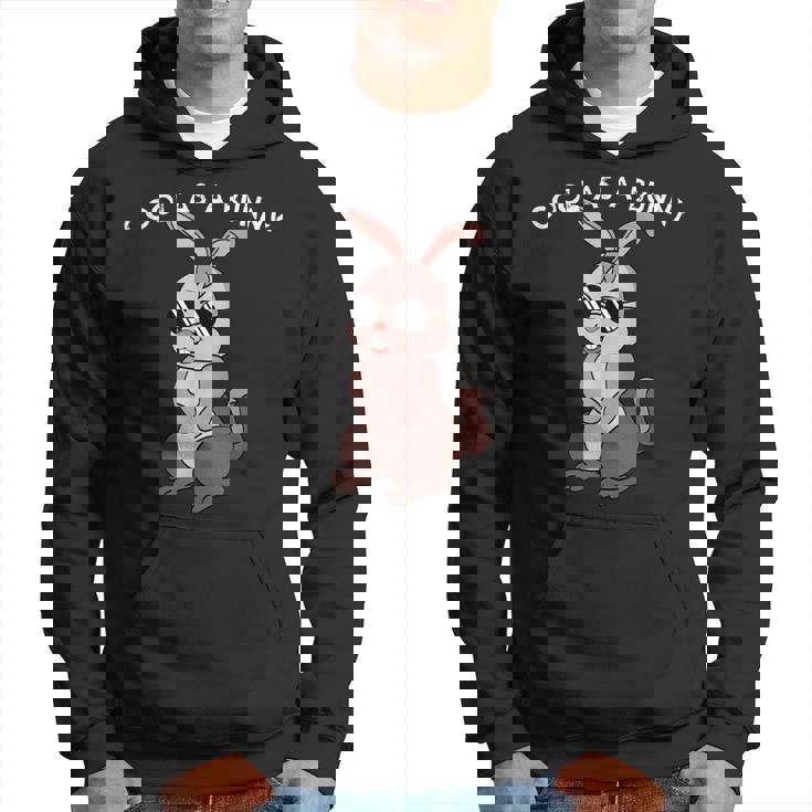 兎 ウサギ メガネ サングラスtay Cool Dog レトロ おもしろ かわいい イラスト パーカー