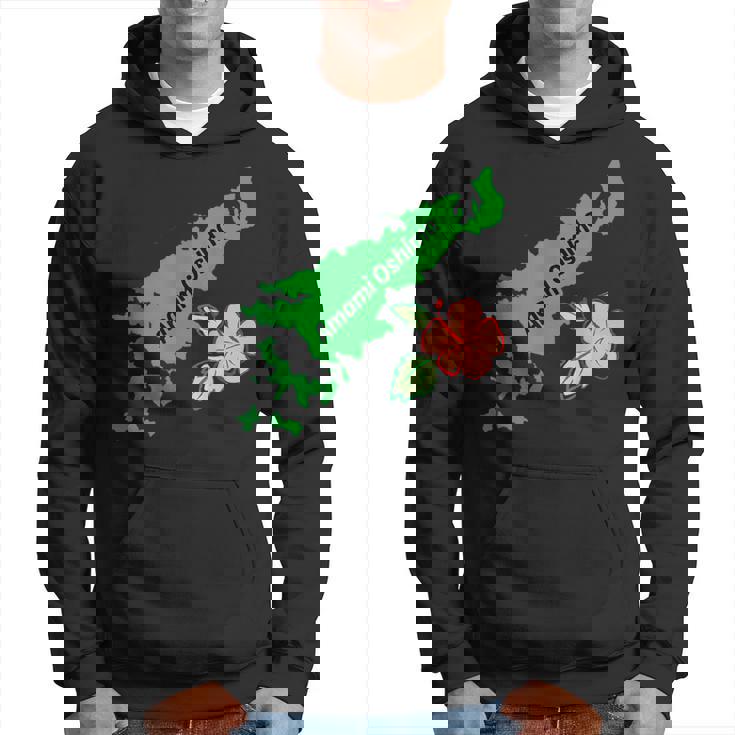 奄美大島 日本 3 パーカー