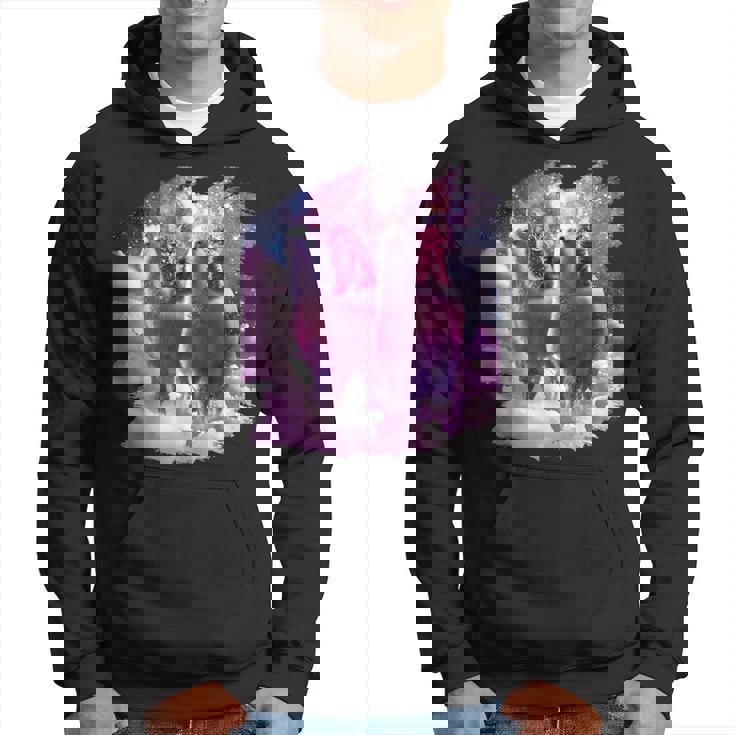 宇宙で虹色のラマに乗る子猫 パーカー