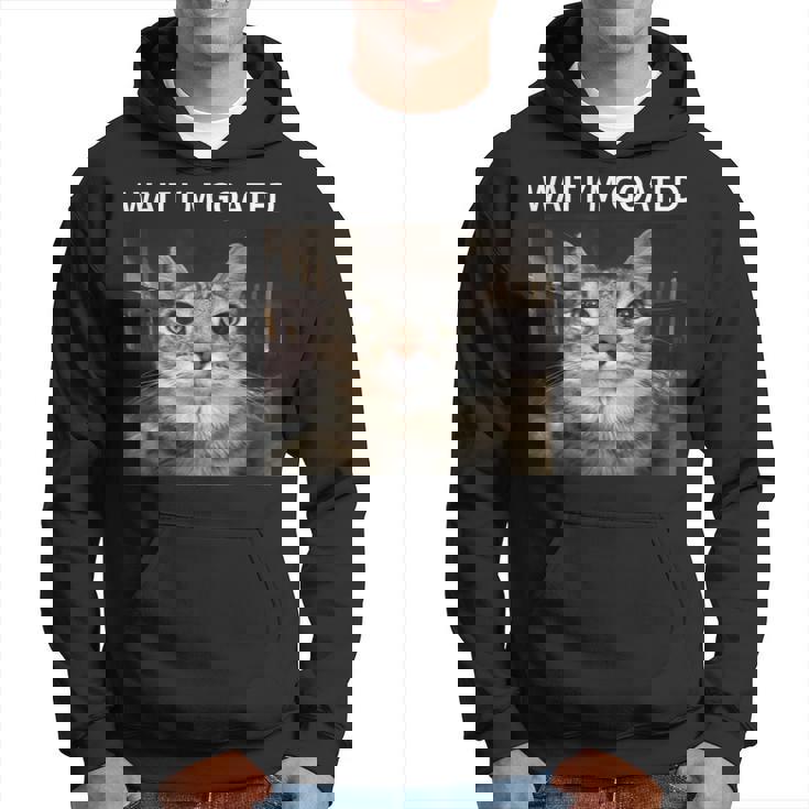 待ってよヤギの愚かな猫のミーム パーカー