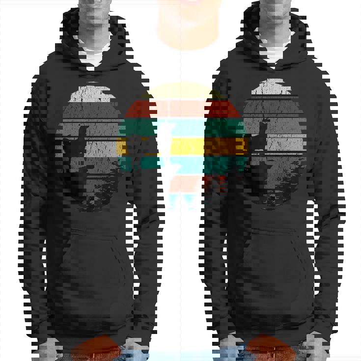 柴犬 グッズ 柴犬 犬ヴィンテージhiba Inu 柴犬 パーカー