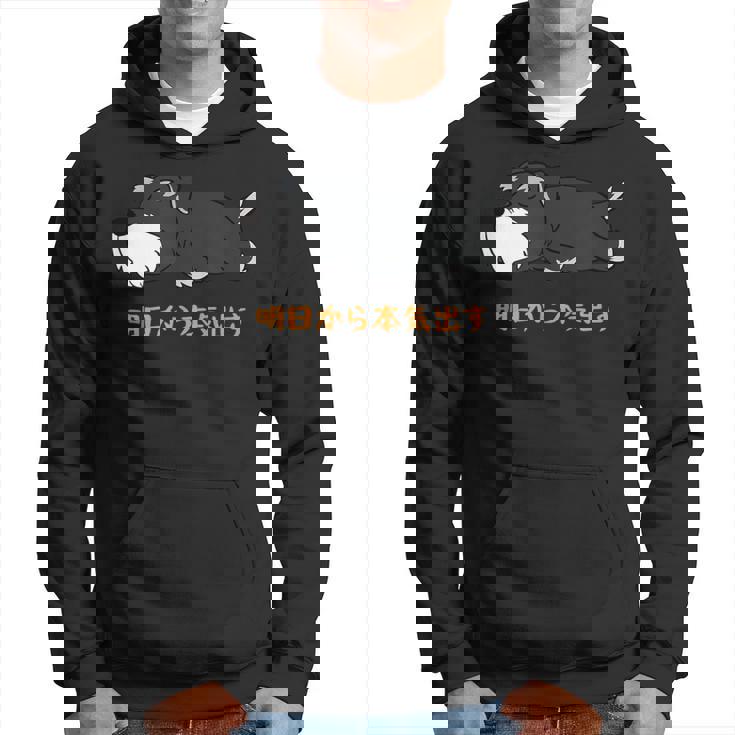 犬 おもしろ 明日から本気出すから 可愛い シュナウザー ミニチュアシュナウザー パーカー