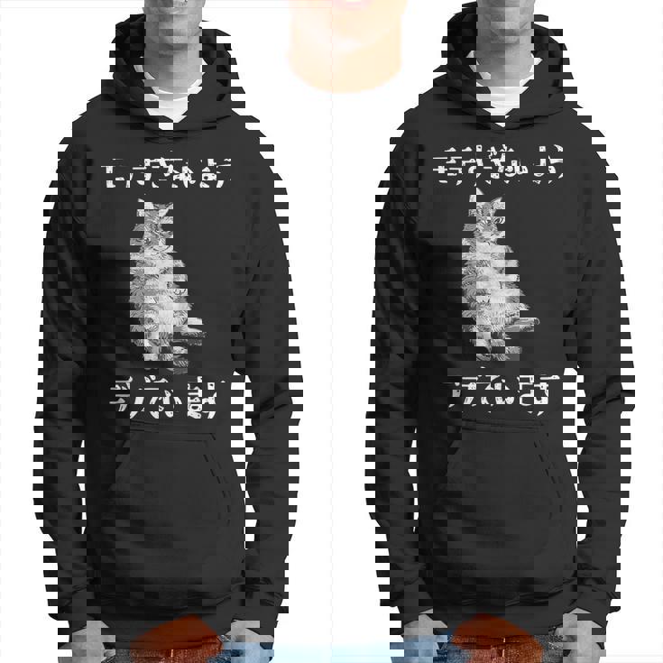 猫 モテるデブ 面白いtシャツ 文字入り メンズ おもしろ 面白い 服 オリジナル おもしろグッズ 文字 パーカー