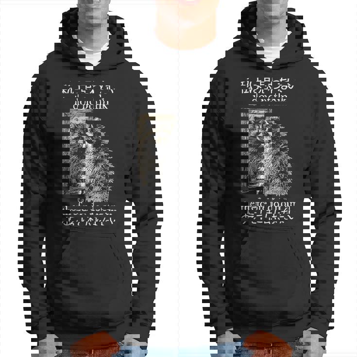 私は思わないので、私は日本のアライグマのミームではありません。 パーカー