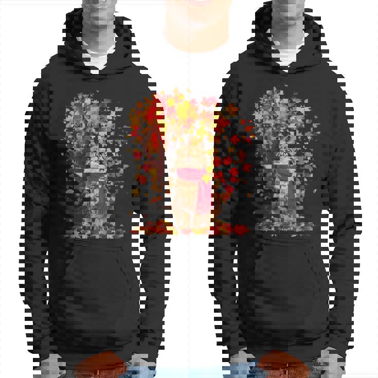 秋 猫 赤いスカーフ 紅葉 かわいい 猫 ママ 滝 パーカー