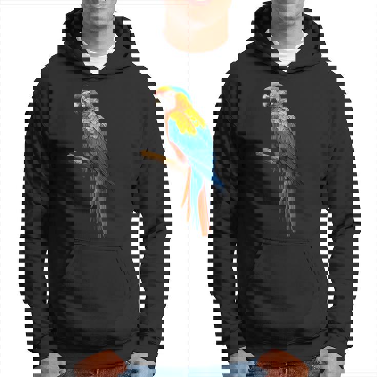 美しいオウム パーカー