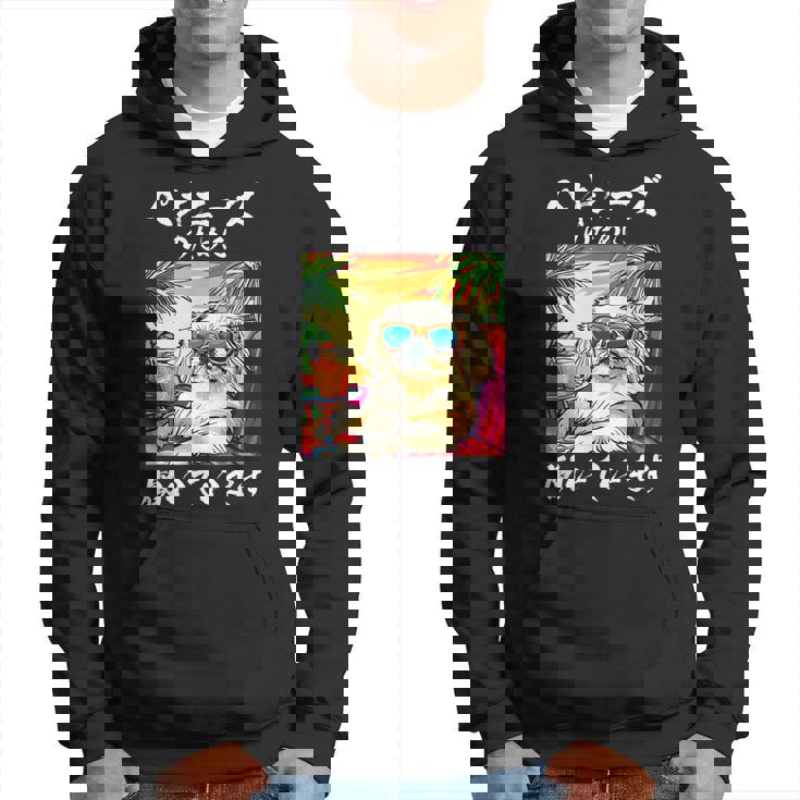 面白いtシャツ ペキニーズ イヌ わんこ メンズ 犬好き グッズ おもしろ 面白い 服 ネタ わんこ ウケ パーカー