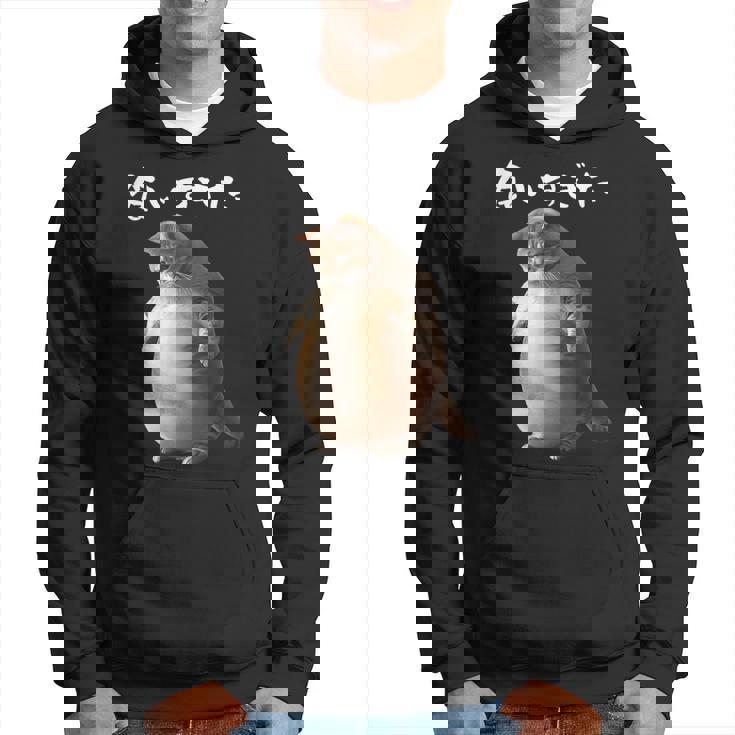 面白いtシャツ 猫 ネコ メンズ 猫好き グッズ おもしろ 面白い 服 ネタ にゃんこ 猫の下僕 ダイエット パーカー