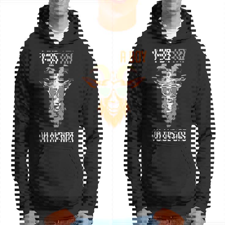 面白い農場の動物 ヤギ好き ただの少年 ヤギが大好きな人 パーカー