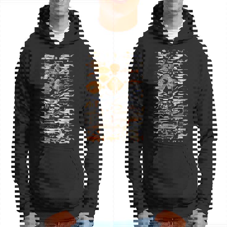 魚の概要と名前。 パーカー