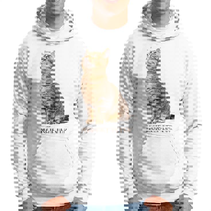 Mischief In Fur 猫写真 キジトラ 猫好き ネタ 猫しもべ 猫飼い 猫依存症 猫オーナー パーカー