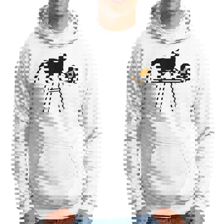 「おもしろいキャットレディが欲しい方法」に投票します パーカー